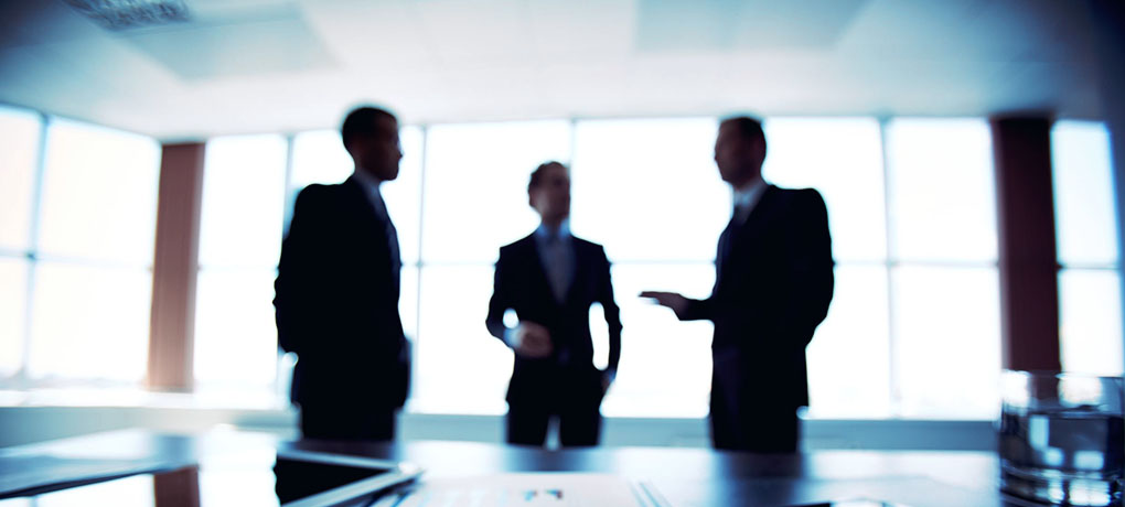 Corporate Governance of Leaders in Organizations